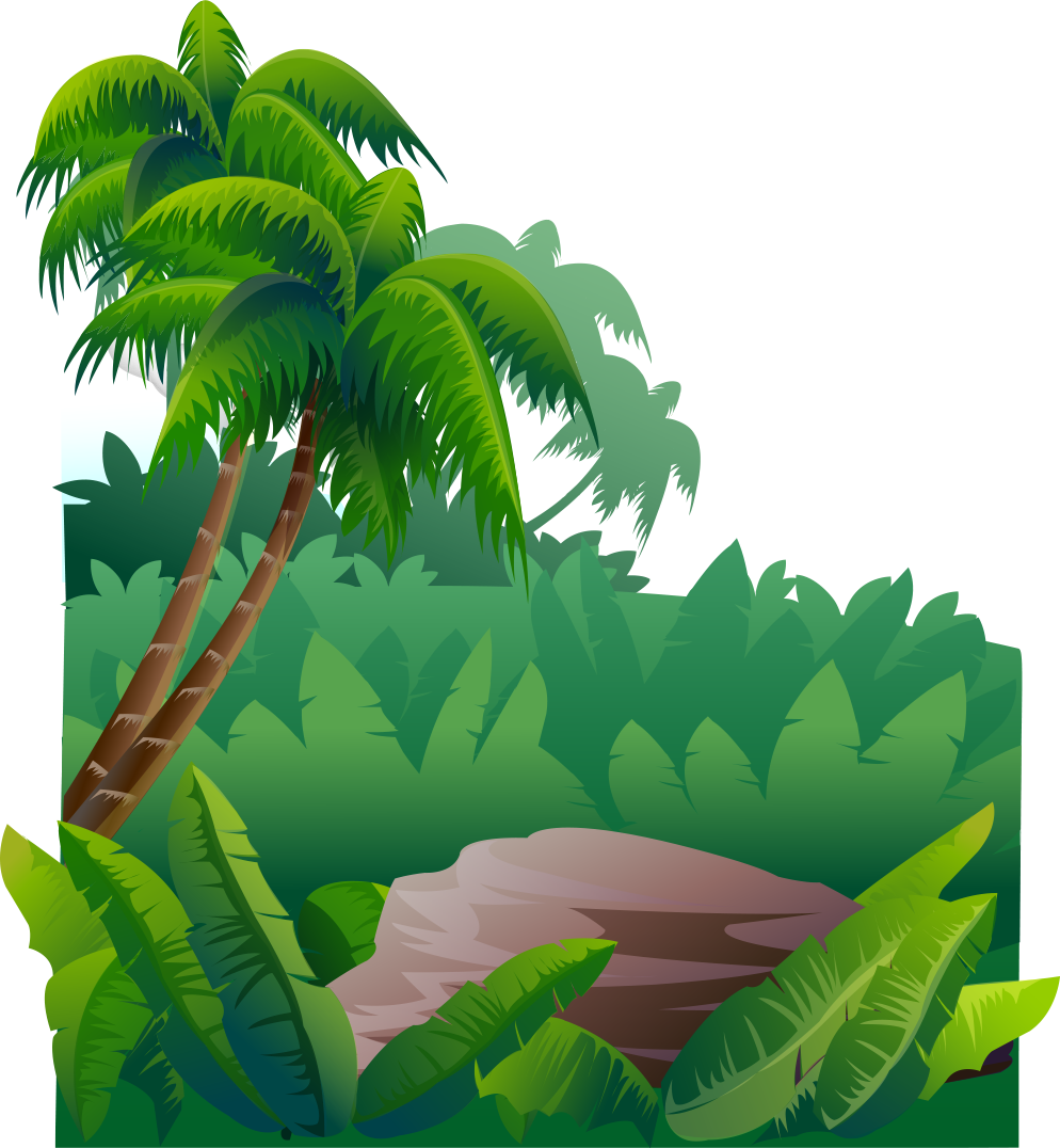 Jungle PNG transparent image download, size: 994x1076px