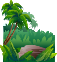 Jungle PNG
