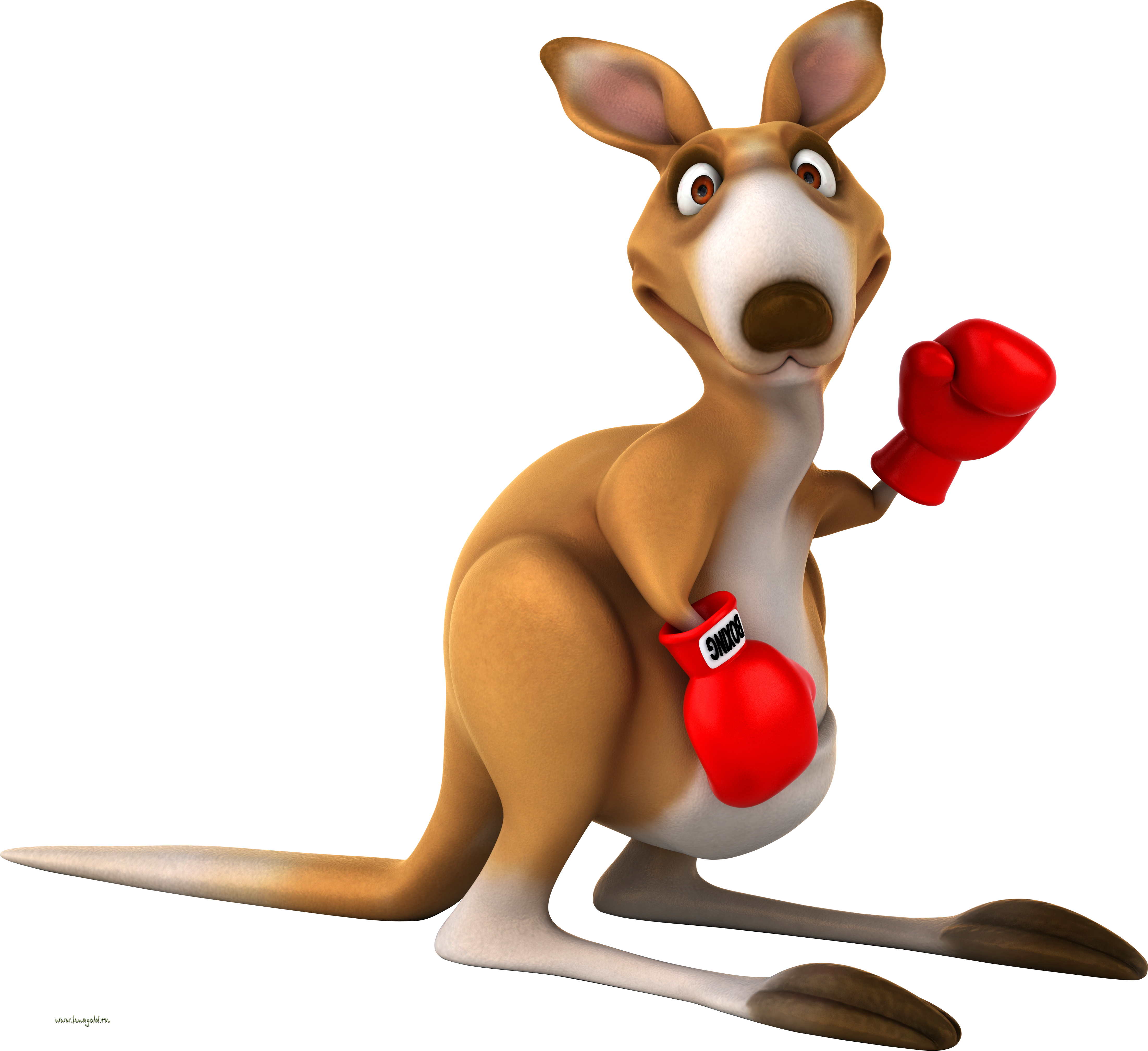 Kangaroo  PNG