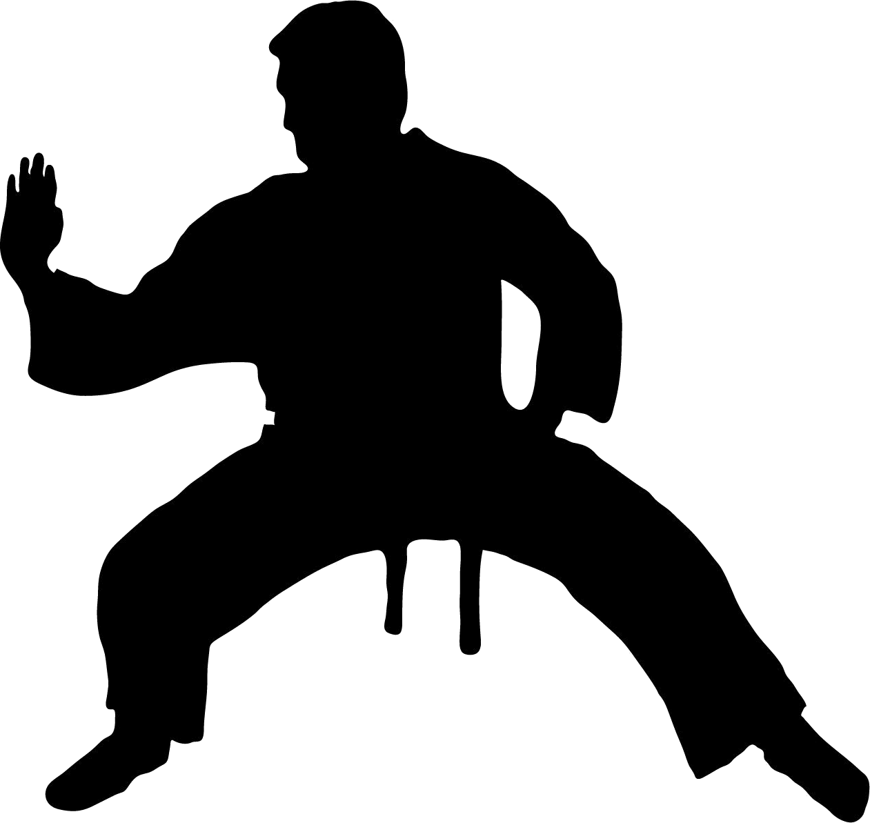 Karate siluete PNG