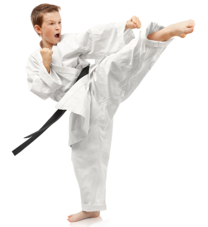 Karate PNG