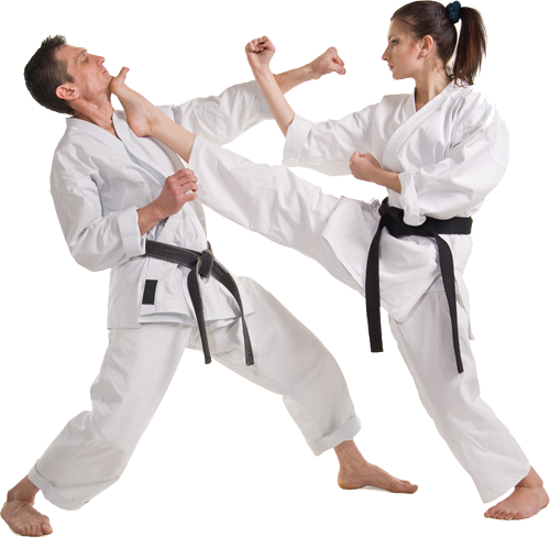 Karate PNG transparent image download, size: 500x489px