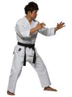 Karate PNG