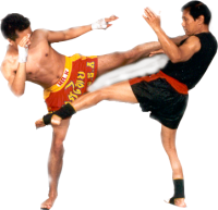 Kickboxing PNG