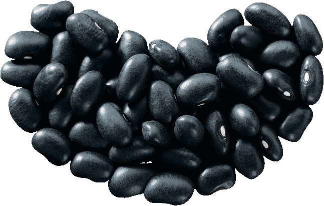 Kidney beans PNG images Download