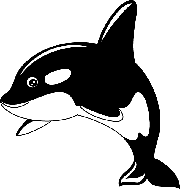 killer whale