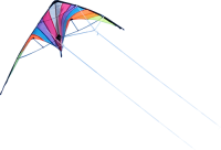 Kite PNG