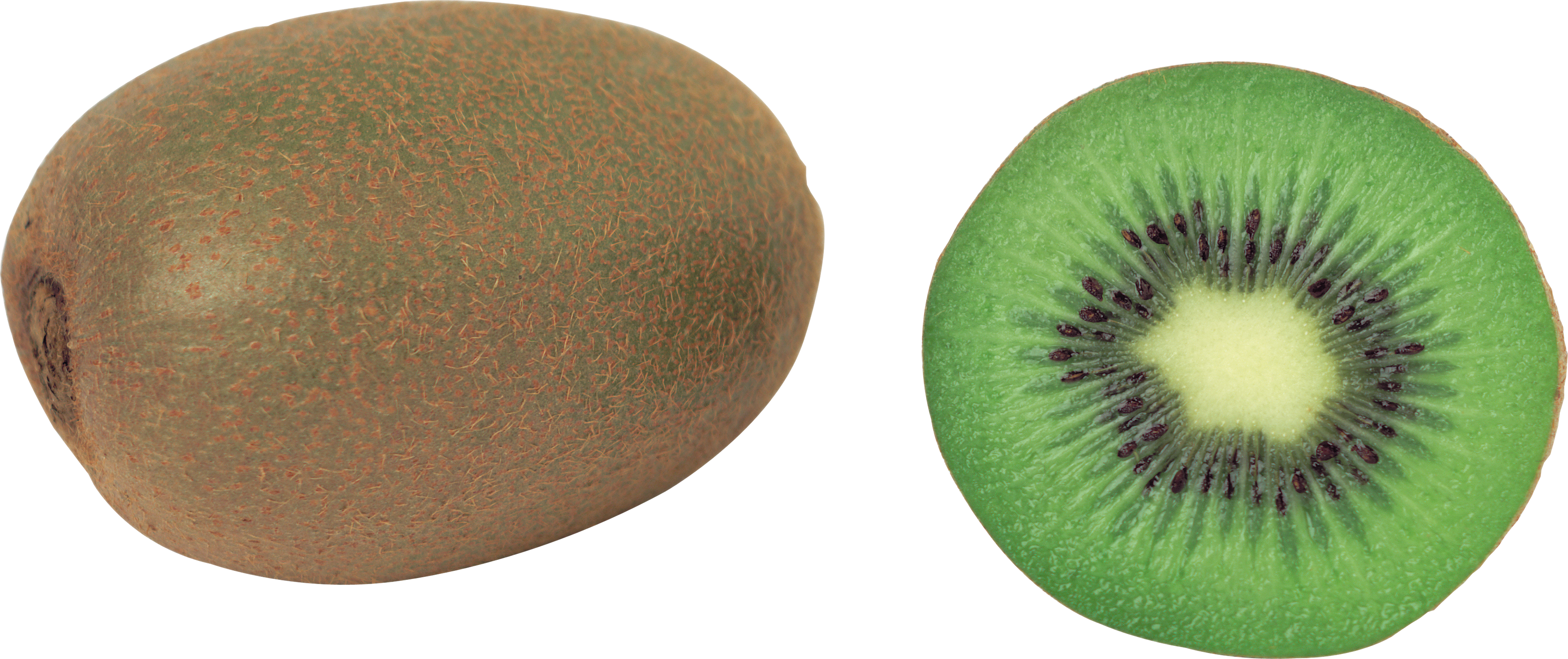 Kiwi PNG image, free fruit kiwi PNG pictures download