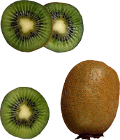 Киви фрукт PNG фото