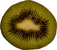 Kiwi PNG