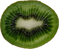 Kiwi PNG