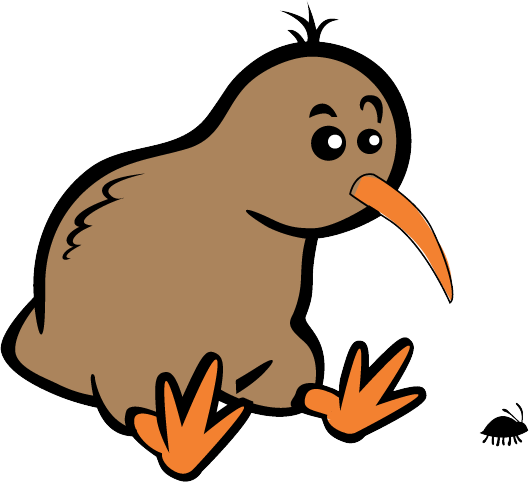 Kiwi bird PNG