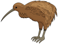 Kiwi moteado menor PNG