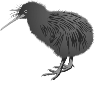 Птица Киви PNG