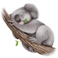 koala PNG