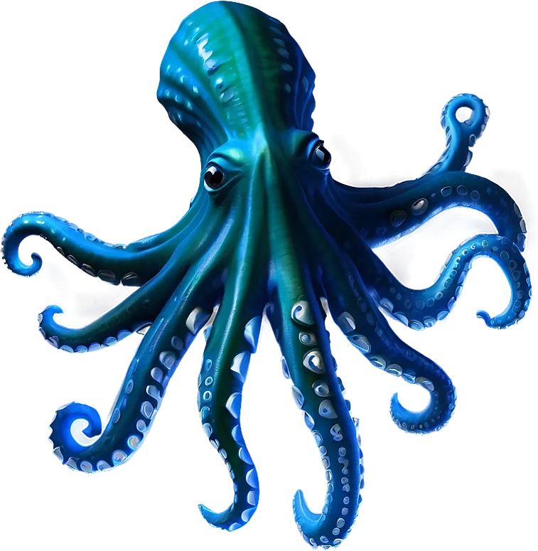 PNG PNG