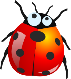 ladybug PNG image transparent image download, size: 2400x1882px