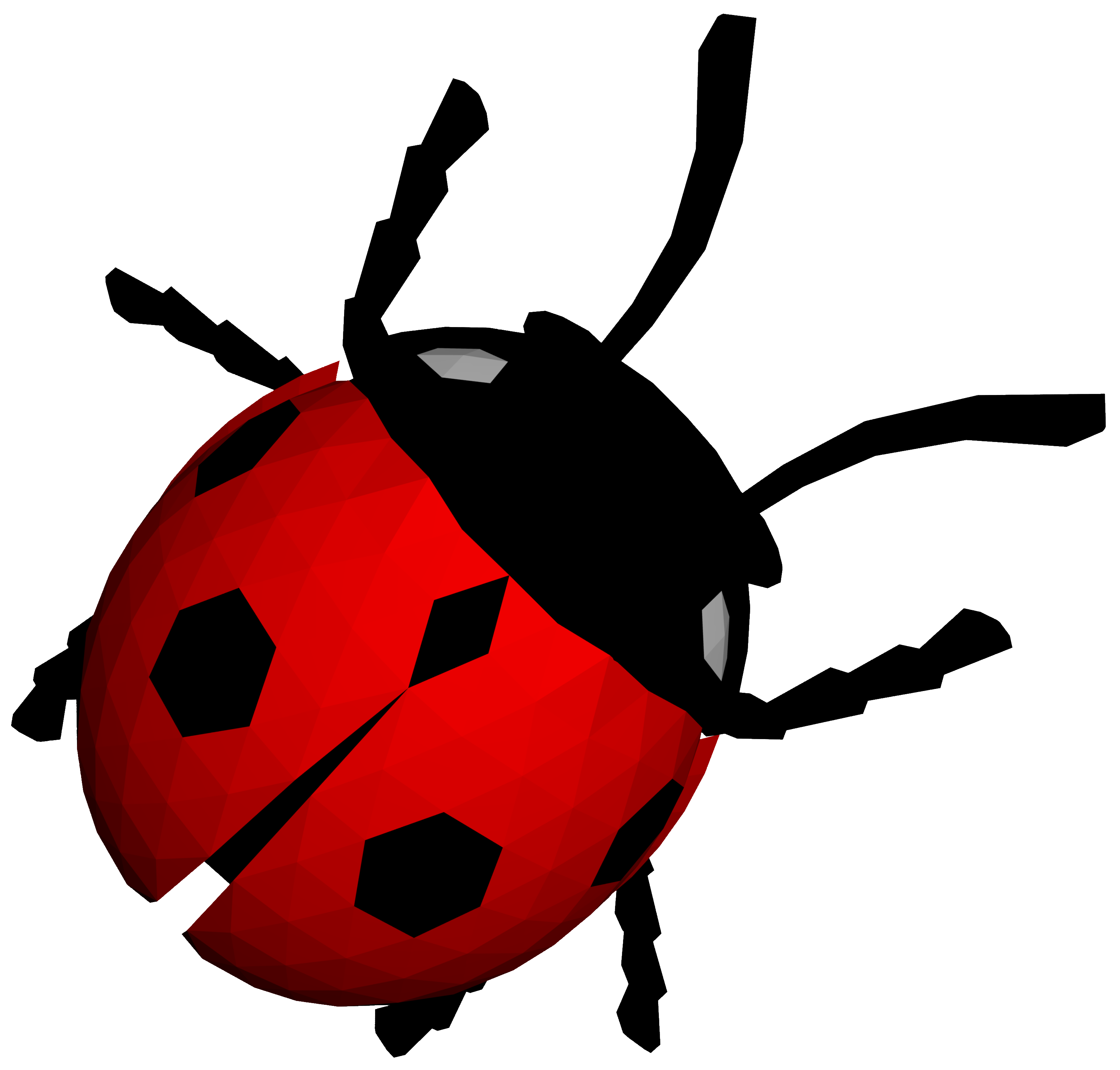 Ladybug PNG image free download