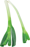 Лук зеленый PNG