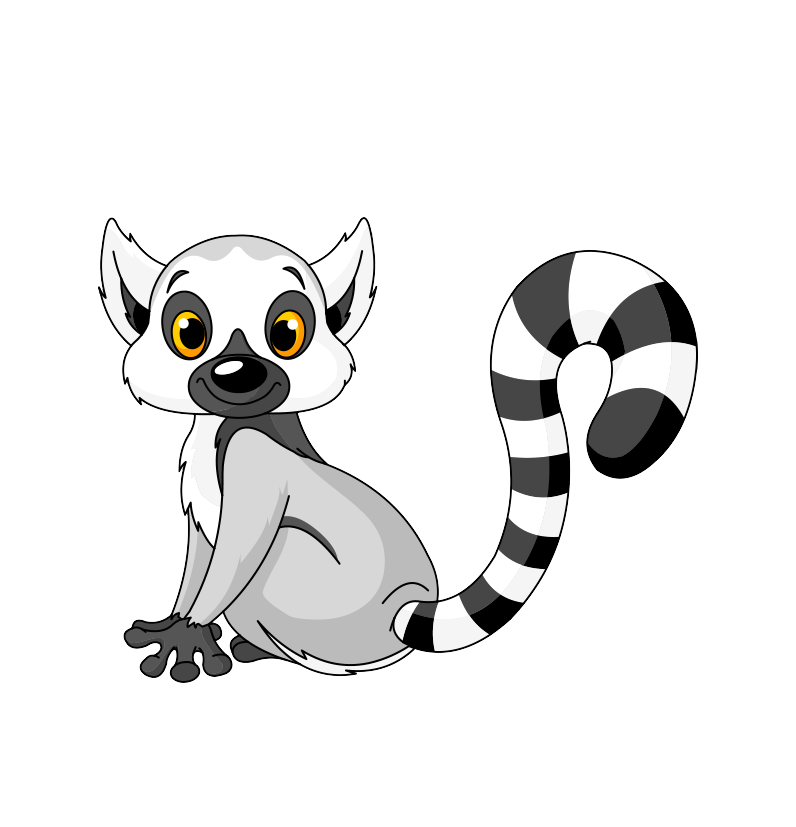 Lemur PNG transparent image download with size: 796x827 px