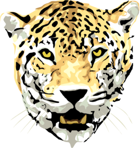 Leopardo PNG