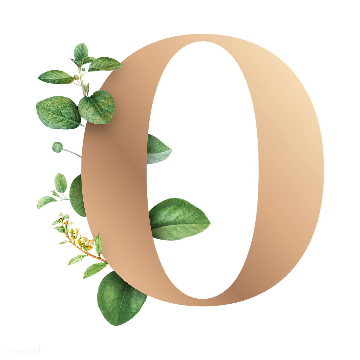 Letter O PNG