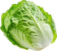 Lettuce PNG transparent background picture