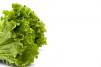 image of Lettuce PNG