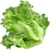 transparent background Lettuce PNG