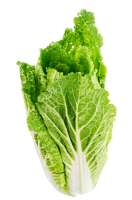 salad Lettuce PNG