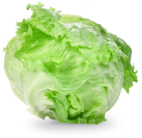 green ball Lettuce PNG
