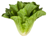 image Lettuce PNG