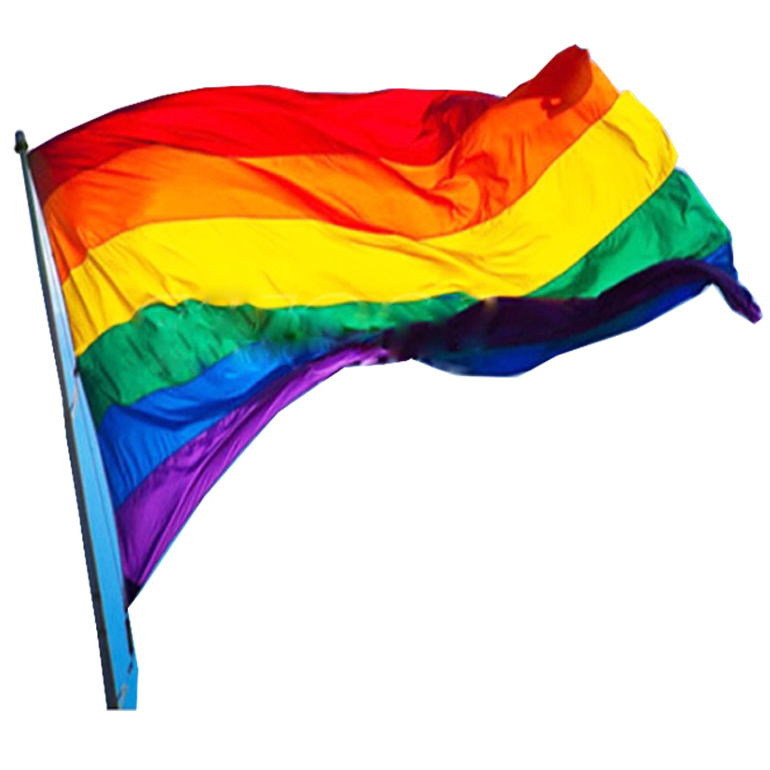 LGBT flag PNG