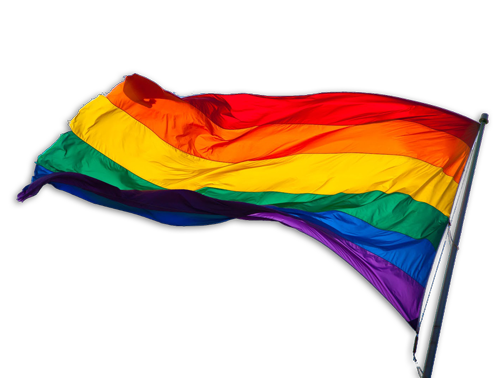 LGBT flag PNG transparent image download, size: 500x378px