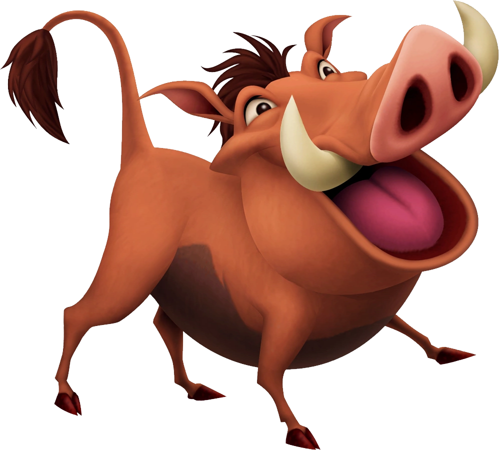 Pumba PNG transparent image download, size: 998x900px