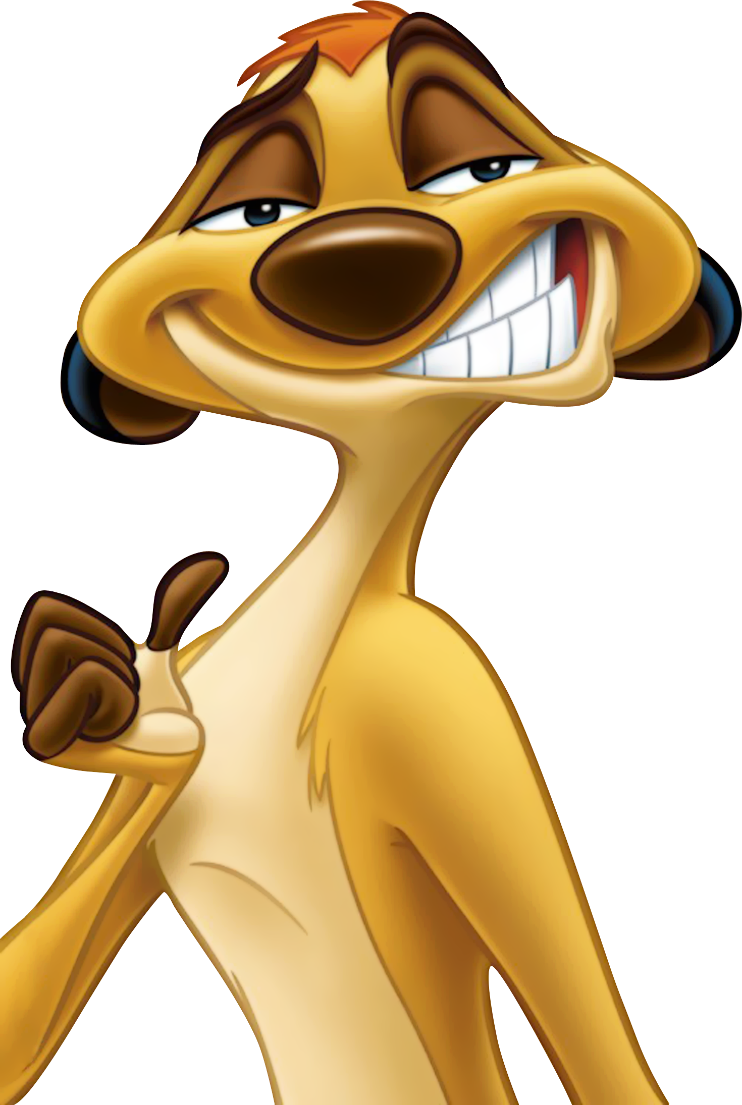 timon-png