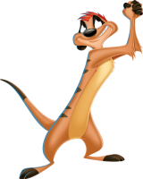 Timon PNG
