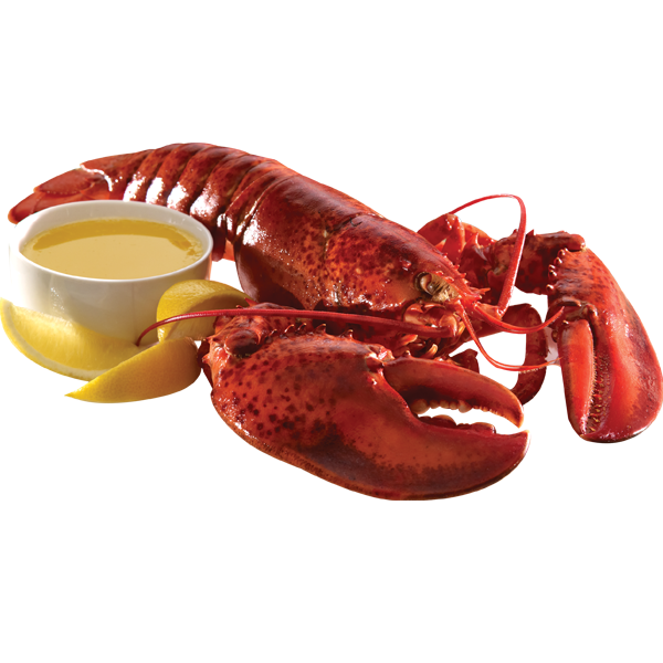 Lobster