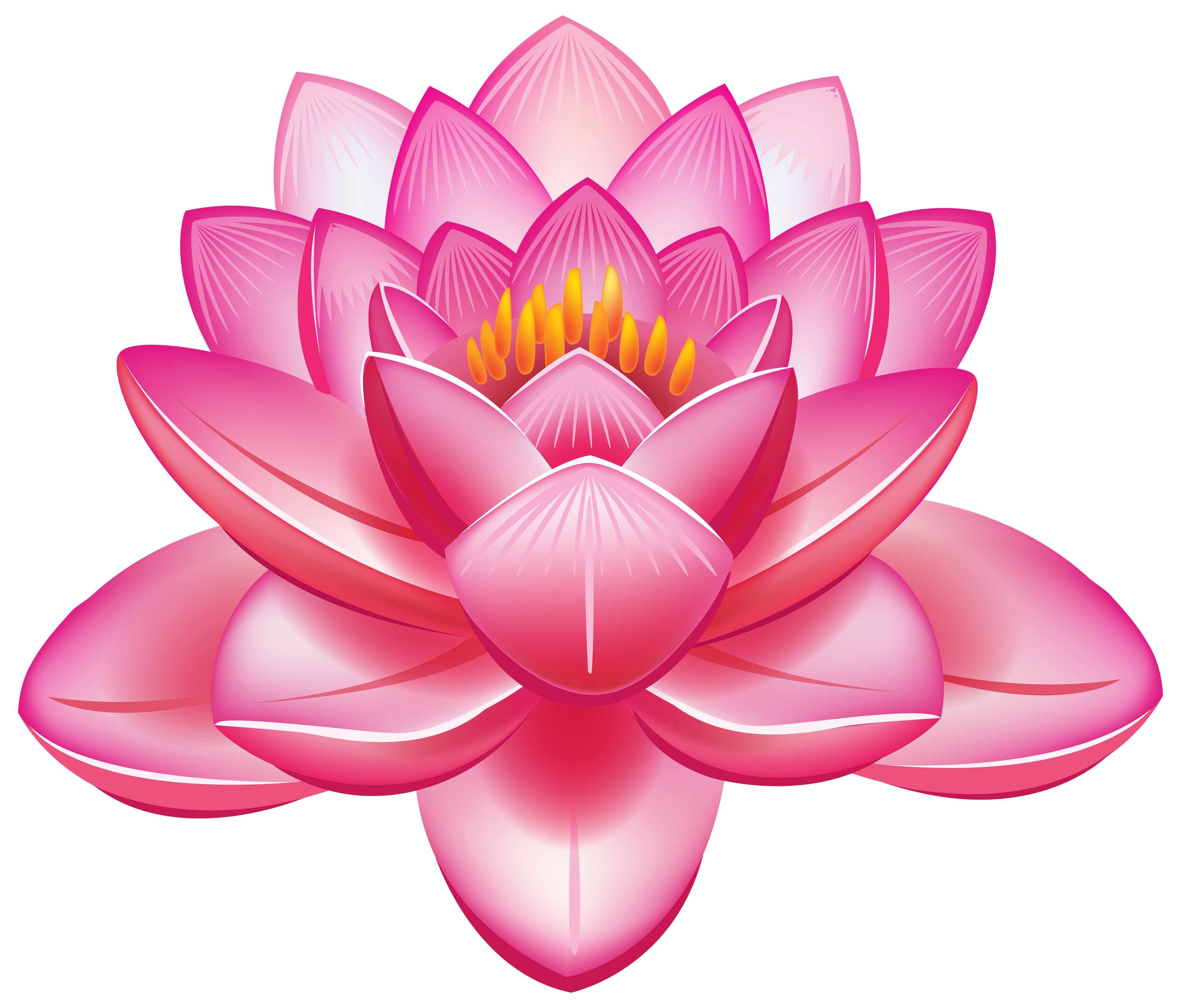 Lotus flower PNG 