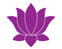 flor de loto PNG