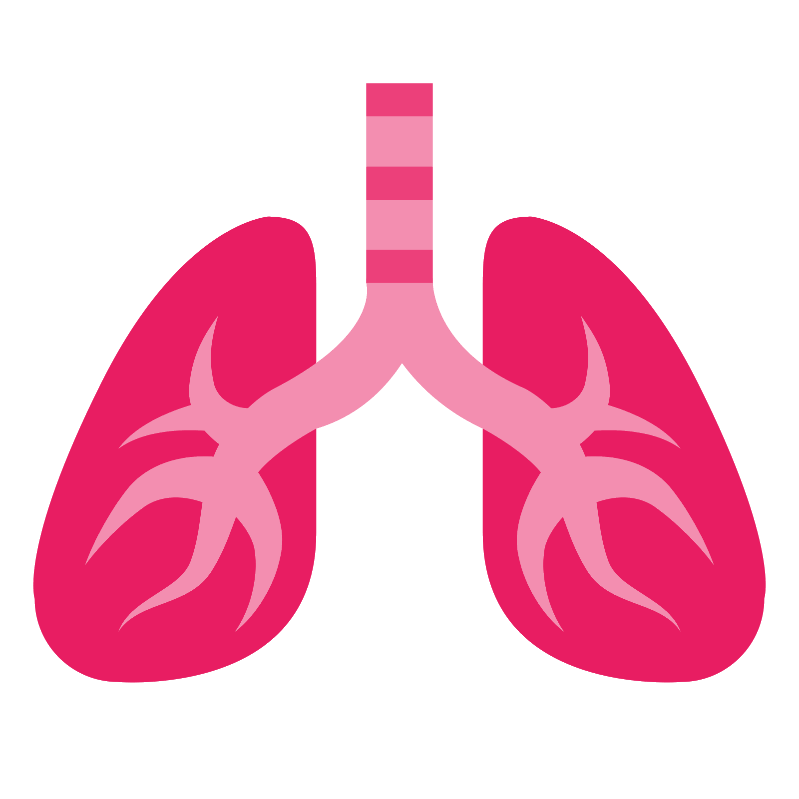 Lungs Png Lungs Clipart Transparent Png Kindpng Images