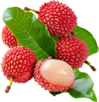 Lychee PNG