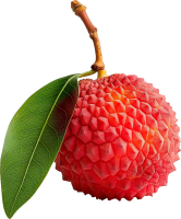 Lychee PNG