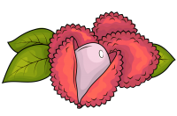 Lychee PNG