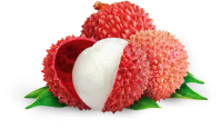Lychee PNG
