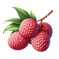 Lychee PNG image