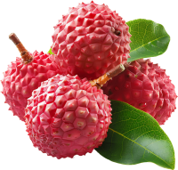 Lychee PNG