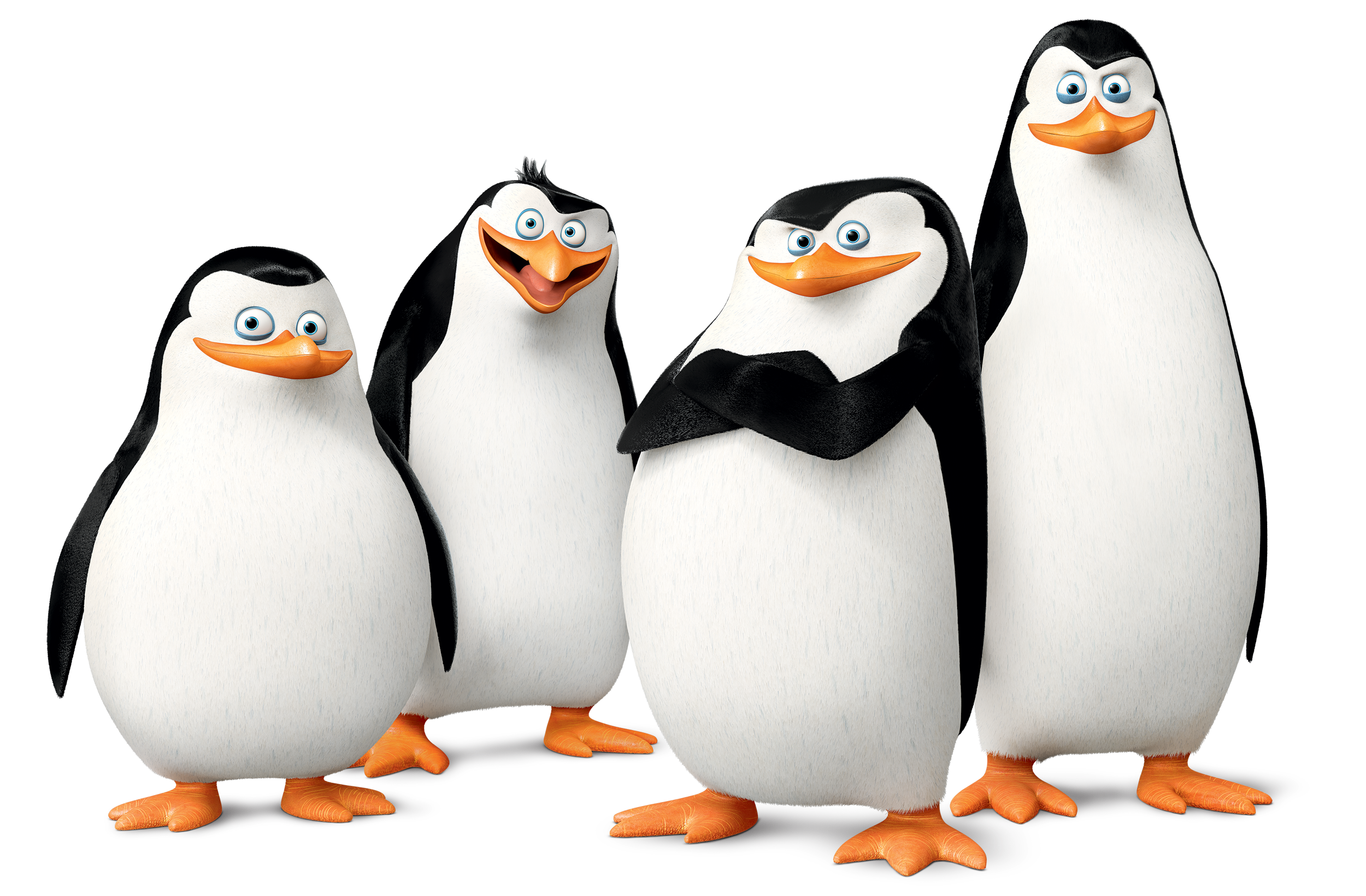 Madagascar Penguins PNG