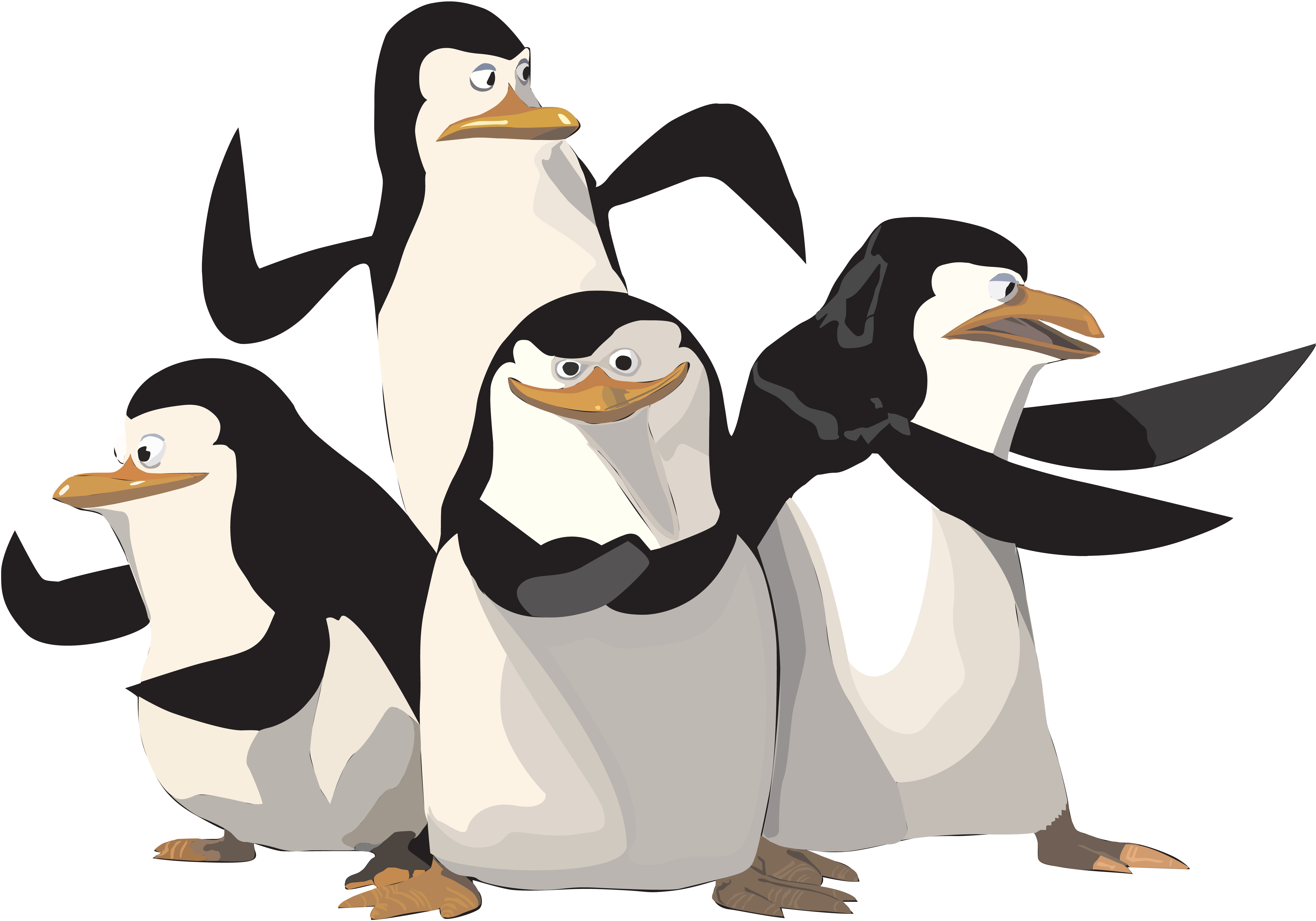 Madagascar penguins PNG image free Download 