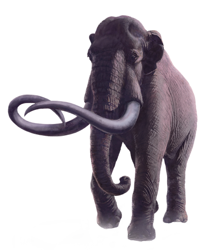 Mammoth PNG